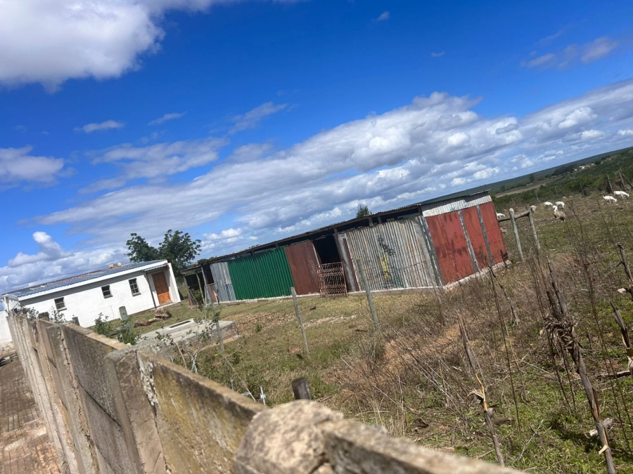 Commercial Property for Sale in Alice Eastern Cape